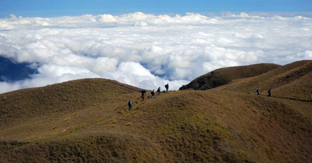 mount pulag, benguet