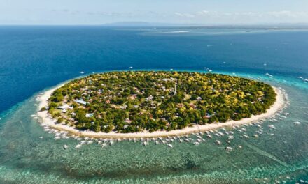 Top Diving Spots in the Philippines