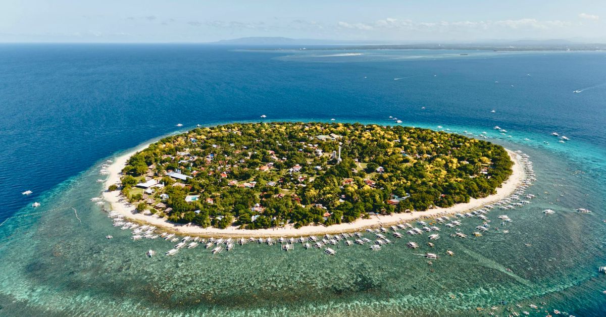 Top Diving Spots in the Philippines